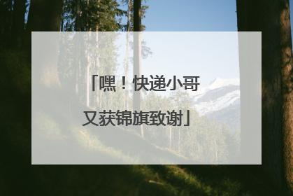 嘿！快递小哥又获锦旗致谢