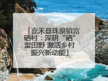 嘉禾县珠泉镇富硒村：深耕“硒”望田野 激活乡村振兴新动能