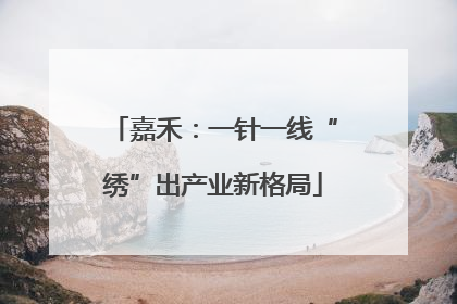 嘉禾：一针一线“绣”出产业新格局