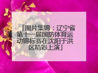 图片集锦：辽宁省第十一届国防体育运动锦标赛在沈阳于洪区精彩上演