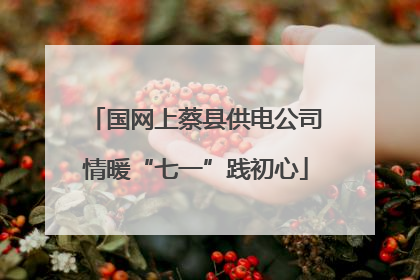 国网上蔡县供电公司情暖“七一”践初心