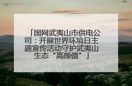 国网武夷山市供电公司：开展世界环境日主题宣传活动守护武夷山生态“高颜值”