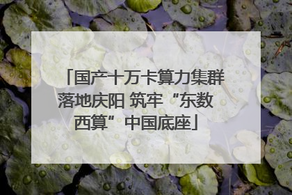 国产十万卡算力集群落地庆阳 筑牢“东数西算”中国底座