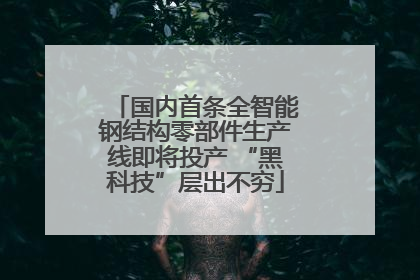 国内首条全智能钢结构零部件生产线即将投产 “黑科技”层出不穷