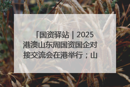 国资驿站｜2025港澳山东周国资国企对接交流会在港举行；山东黄金成功在境外发行3亿美元绿色债券