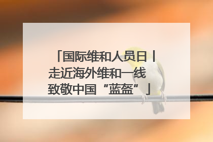 国际维和人员日丨走近海外维和一线 致敬中国“蓝盔”