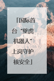 国际首台“壁虎机器人”上岗守护核安全