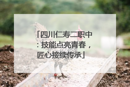四川仁寿二职中：技能点亮青春，匠心接续传承
