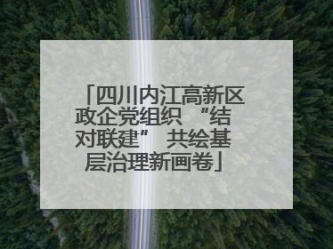 四川内江高新区政企党组织 “结对联建” 共绘基层治理新画卷