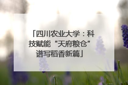 四川农业大学：科技赋能“天府粮仓”谱写稻香新篇