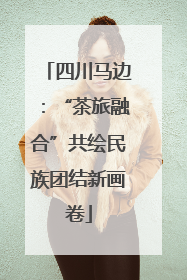 四川马边：“茶旅融合”共绘民族团结新画卷