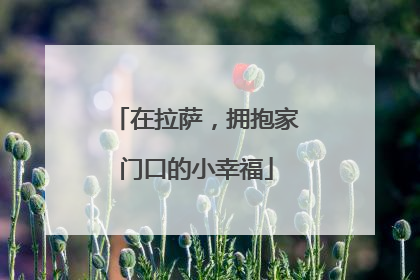 在拉萨，拥抱家门口的小幸福