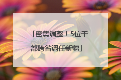 密集调整！5位干部跨省调任新疆