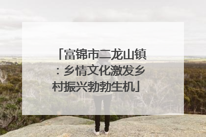 富锦市二龙山镇：乡情文化激发乡村振兴勃勃生机