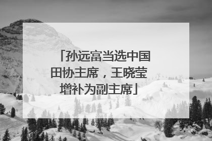 孙远富当选中国田协主席，王晓莹增补为副主席