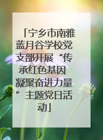 宁乡市南雅蓝月谷学校党支部开展“传承红色基因 凝聚奋进力量”主题党日活动