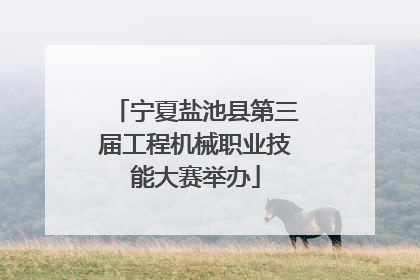 宁夏盐池县第三届工程机械职业技能大赛举办