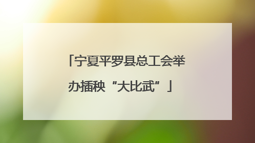 宁夏平罗县总工会举办插秧“大比武”