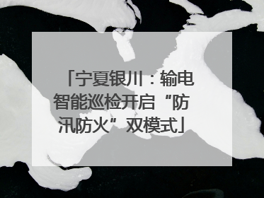 宁夏银川：输电智能巡检开启“防汛防火”双模式