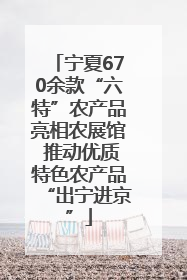 宁夏670余款“六特”农产品亮相农展馆 推动优质特色农产品“出宁进京”