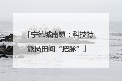 宁德城南镇：科技特派员田间“把脉”