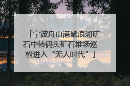 宁波舟山港鼠浪湖矿石中转码头矿石堆场巡检进入“无人时代”