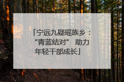 宁远九疑瑶族乡：“青蓝结对” 助力年轻干部成长