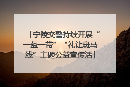 宁陵交警持续开展“一盔一带”“礼让斑马线”主题公益宣传活