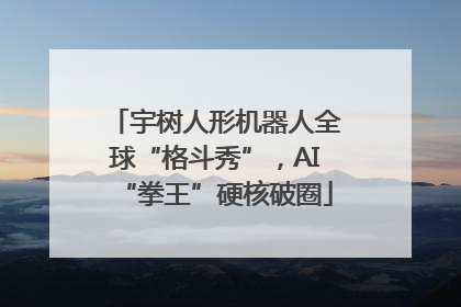 宇树人形机器人全球“格斗秀”，AI“拳王”硬核破圈
