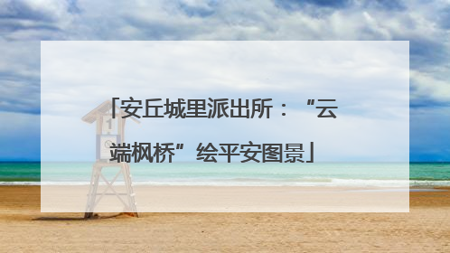 安丘城里派出所：“云端枫桥”绘平安图景