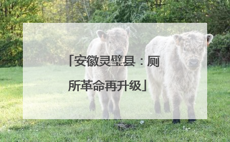 安徽灵璧县：厕所革命再升级