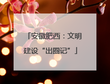 安徽肥西：文明建设“出圈记”