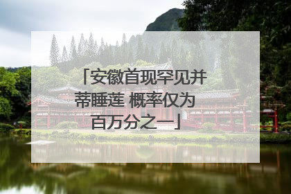 安徽首现罕见并蒂睡莲 概率仅为百万分之一