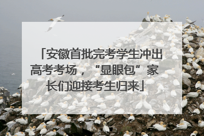 安徽首批完考学生冲出高考考场，“显眼包”家长们迎接考生归来