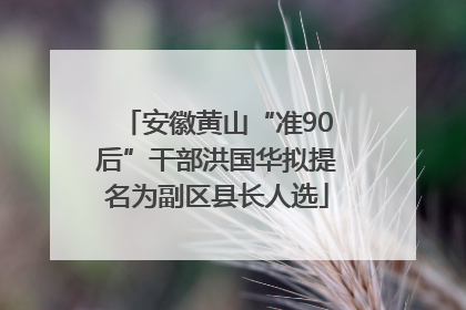 安徽黄山“准90后”干部洪国华拟提名为副区县长人选