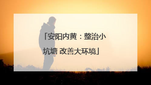 安阳内黄：整治小坑塘 改善大环境
