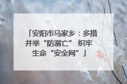 安阳市马家乡：多措并举“防溺亡” 织牢生命“安全网”