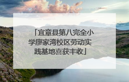 宜章县第八完全小学廖家湾校区劳动实践基地喜获丰收