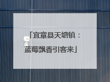 宜章县天塘镇：蓝莓飘香引客来
