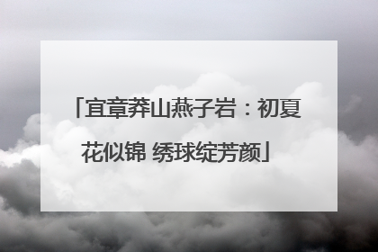 宜章莽山燕子岩：初夏花似锦 绣球绽芳颜