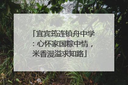 宜宾筠连镇舟中学：心怀家国粽中情，米香漫溢求知路