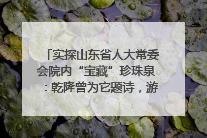 实探山东省人大常委会院内“宝藏”珍珠泉：乾隆曾为它题诗，游客无需预约免费游览