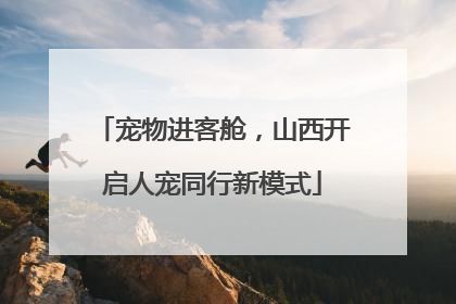 宠物进客舱，山西开启人宠同行新模式