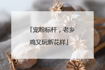 宠粉标杆，老乡鸡又玩新花样