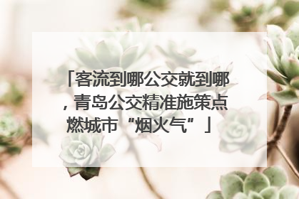 客流到哪公交就到哪，青岛公交精准施策点燃城市“烟火气”