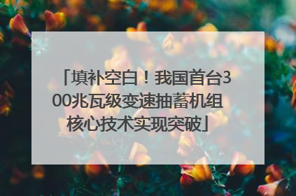 填补空白！我国首台300兆瓦级变速抽蓄机组核心技术实现突破
