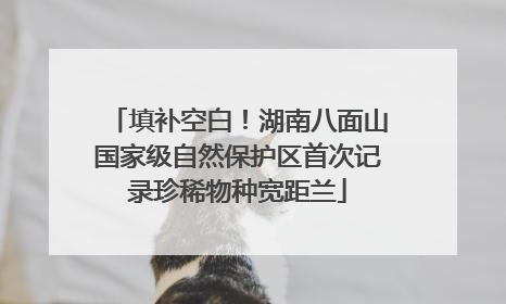 填补空白！湖南八面山国家级自然保护区首次记录珍稀物种宽距兰