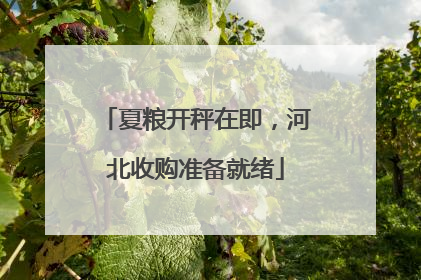夏粮开秤在即，河北收购准备就绪