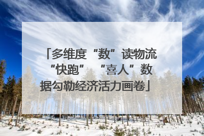 多维度“数”读物流“快跑” “喜人”数据勾勒经济活力画卷