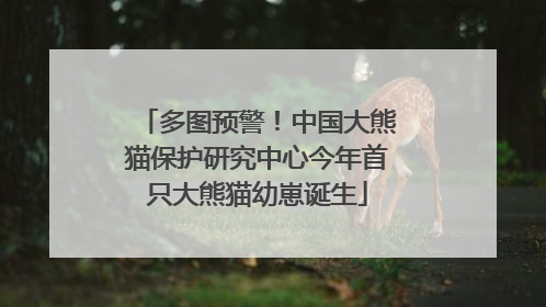 多图预警！中国大熊猫保护研究中心今年首只大熊猫幼崽诞生